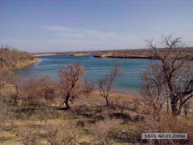 Кулинарная общалка