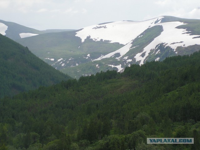 Сибирь настоящая