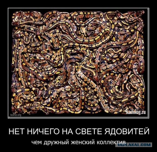 Женская дружба как она есть