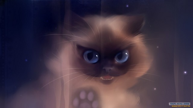 Рисованный котовторник