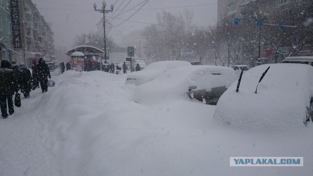 А тем временем в Хабаровске
