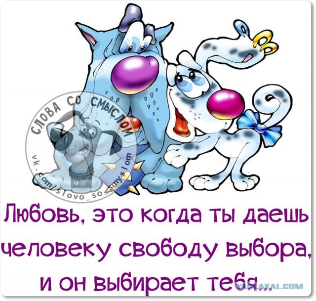 Веселые жизненные наблюдения из Вредного журнала
