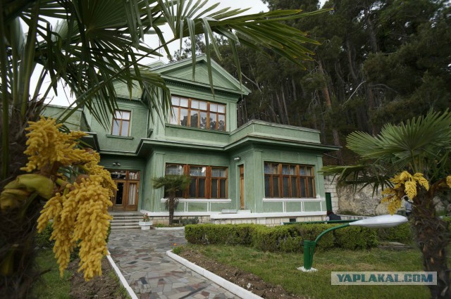 Абхазия, пансионат "Самшитовая роща"