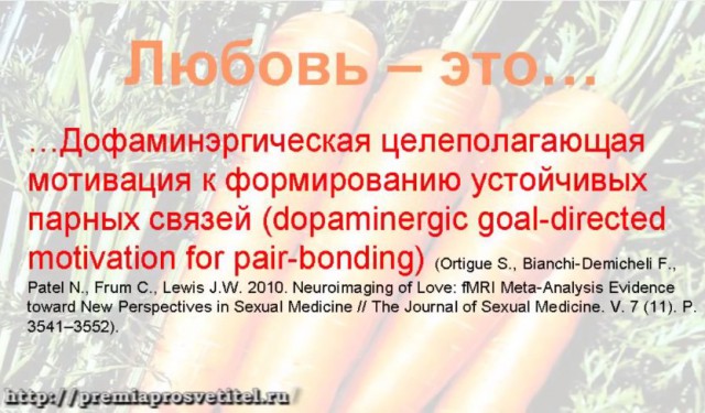 Бог — это статистика