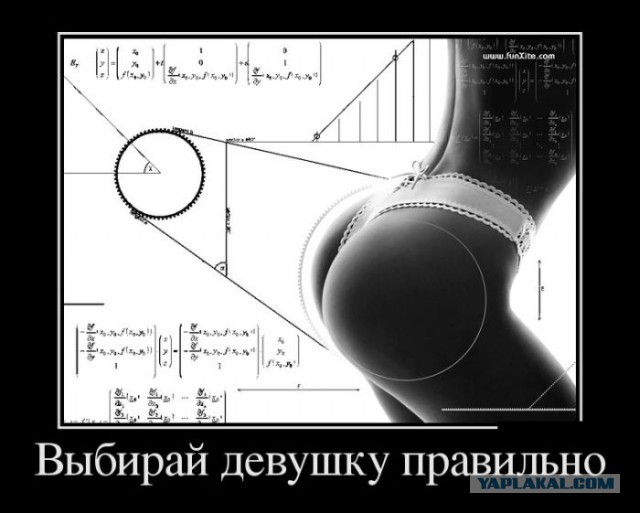 Прикольняхи