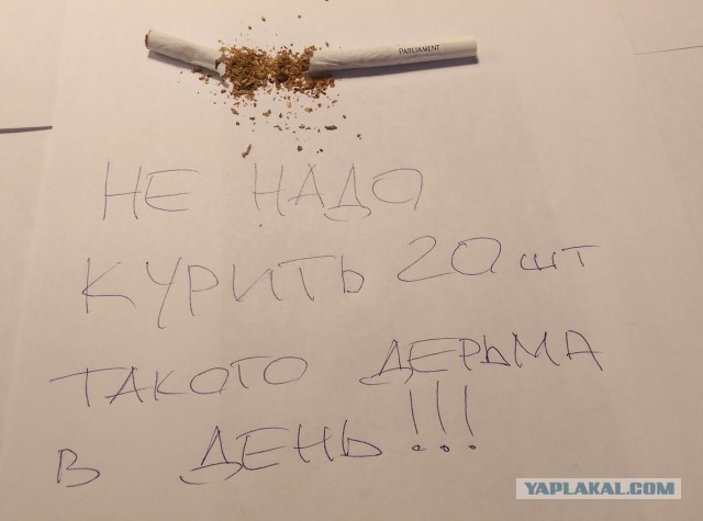 Вся правда о вреде курения