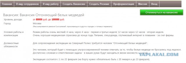 15 очень странных профессий, за которые платят