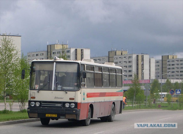 Тест-драйв автобуса Икарус-256