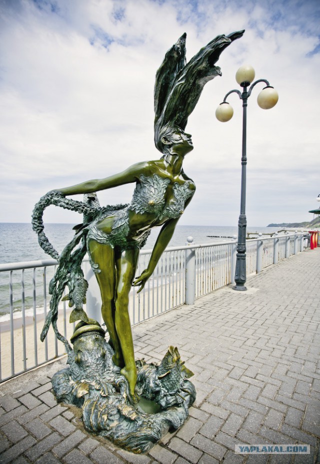 Бронзовые сиськи и жопа