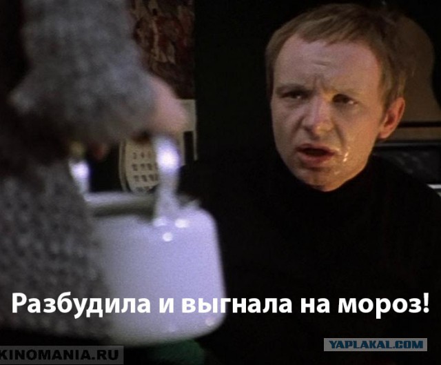 20 наглядных примеров до чего доводят женщины