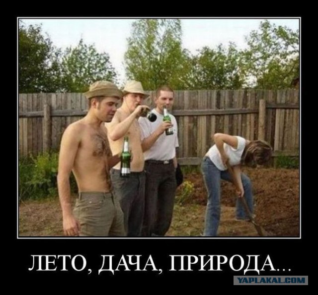 Вот почему я так люблю приезжать на дачу!