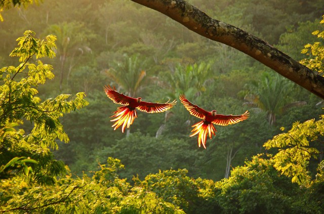 Подборка любопытных фотографий со всего света