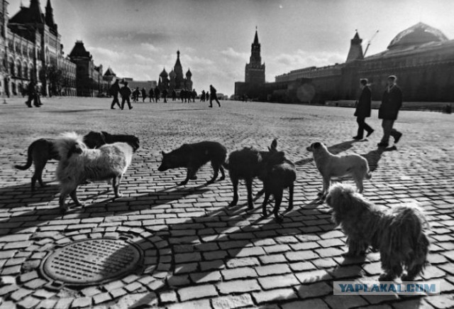 Москва и люди 90-х. Фото.