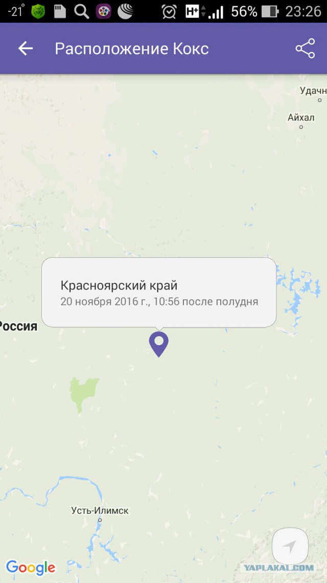 Ребята, требуется помощь!
