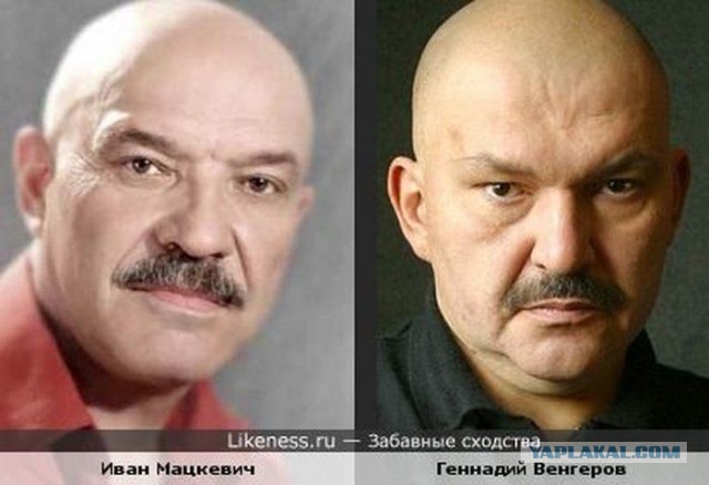Один в один! 17 людей, животных и вещей, которые невероятно похожи друг на друга.