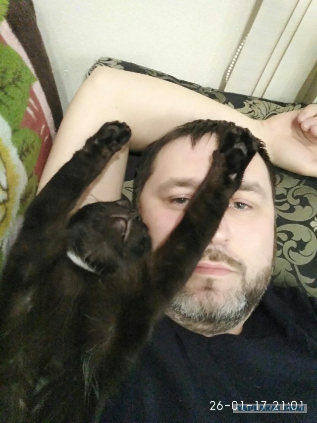 Котовторник  31.01.2017