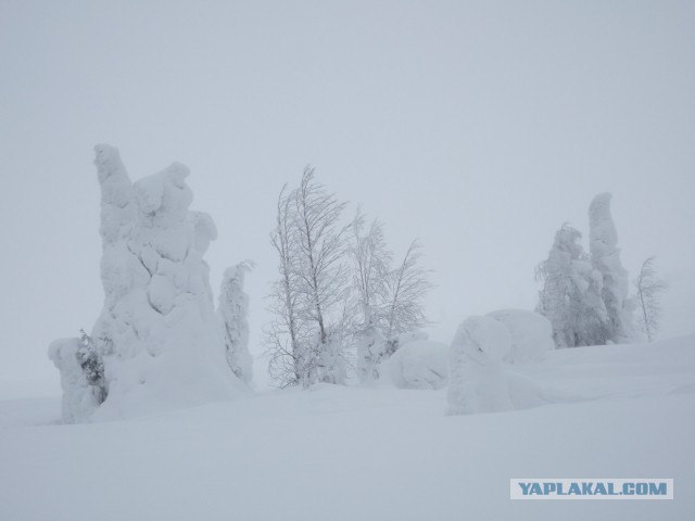Как провести отпуск в марте