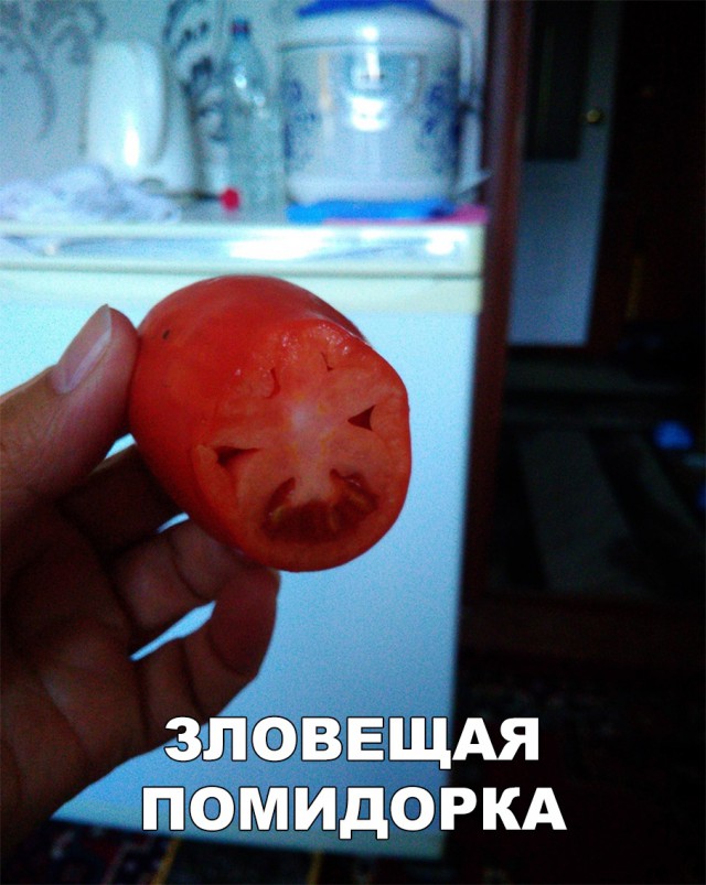 Нестандартный юмор