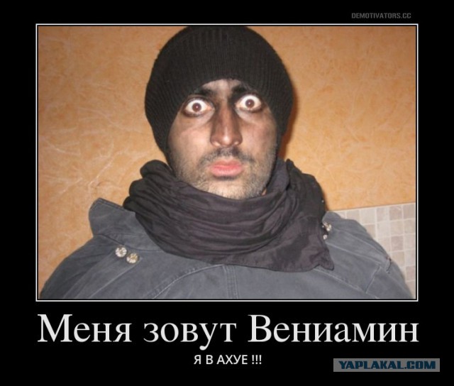 Это признание! Пашкетт на ТНТ