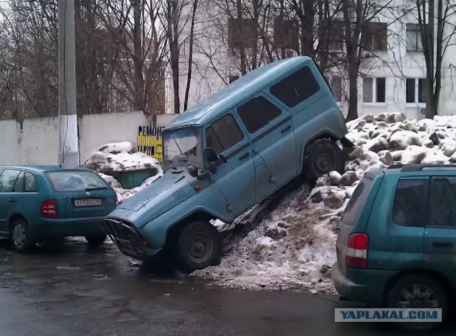 Да мы быдло! Но у нас вообще-то есть лакшери BMW! Обойдешь нас и не обломаешься!