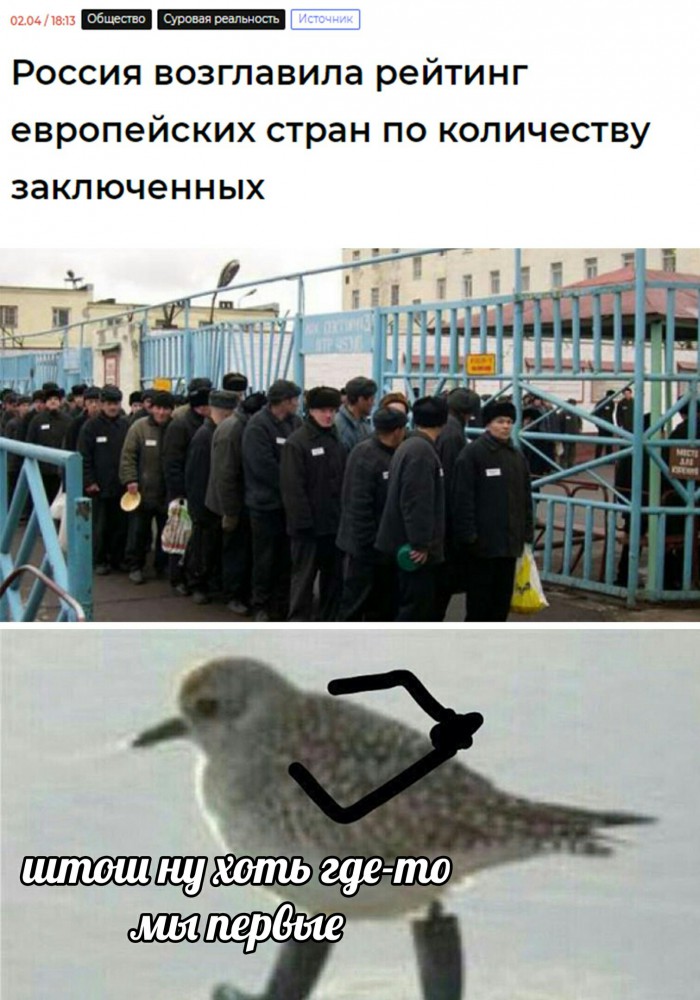 Бредзона