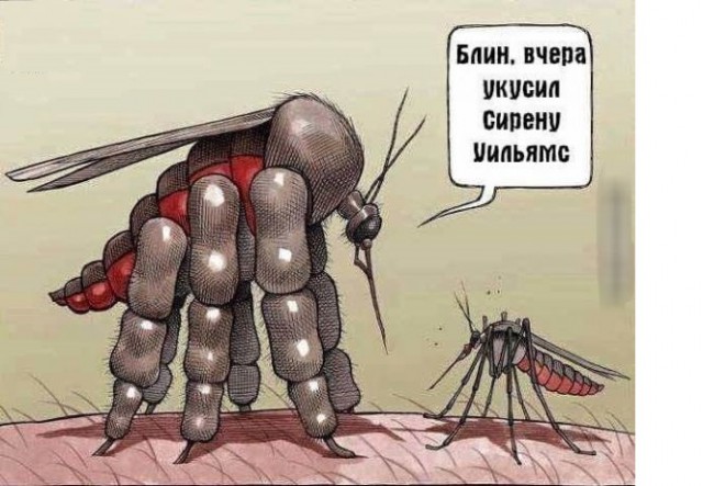 Немного картинок для настроения