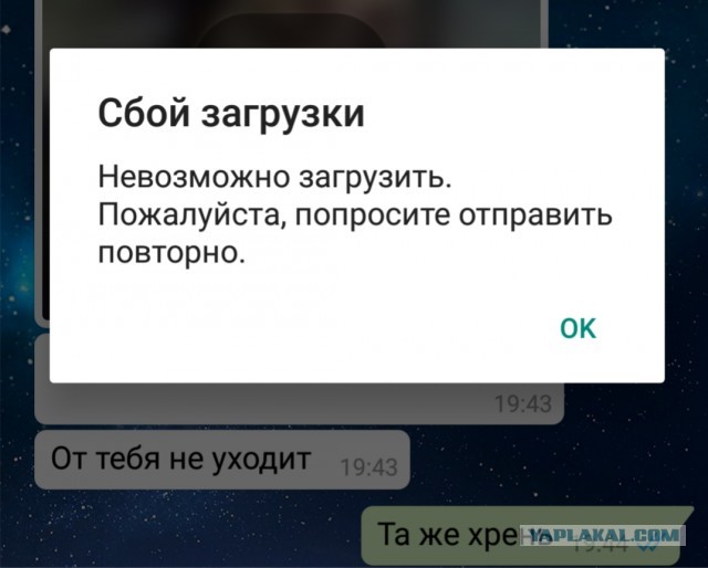 WhatsApp "сломался" ?