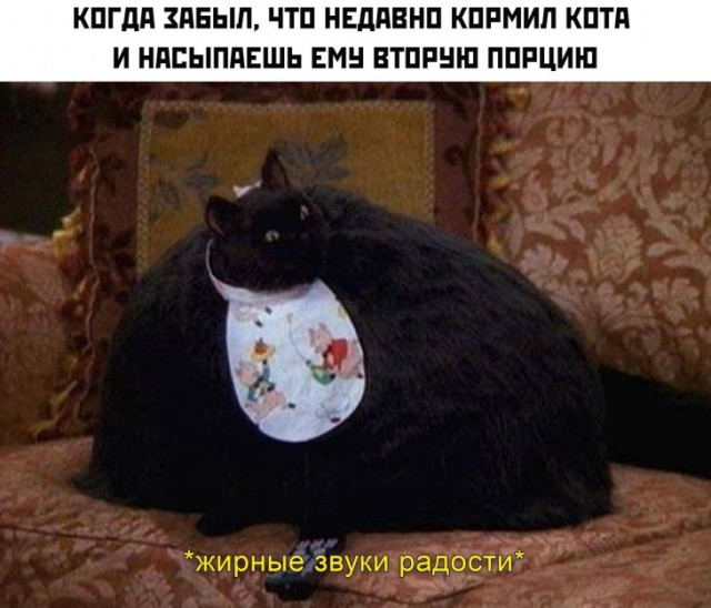Жирные вздохи сожаления
