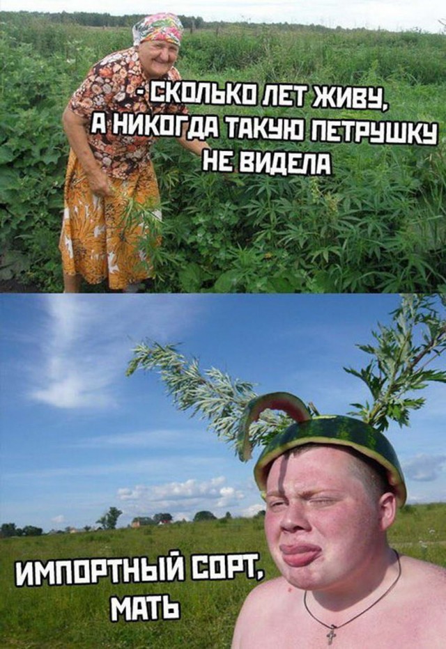Немного картинок с надписями и без - 37