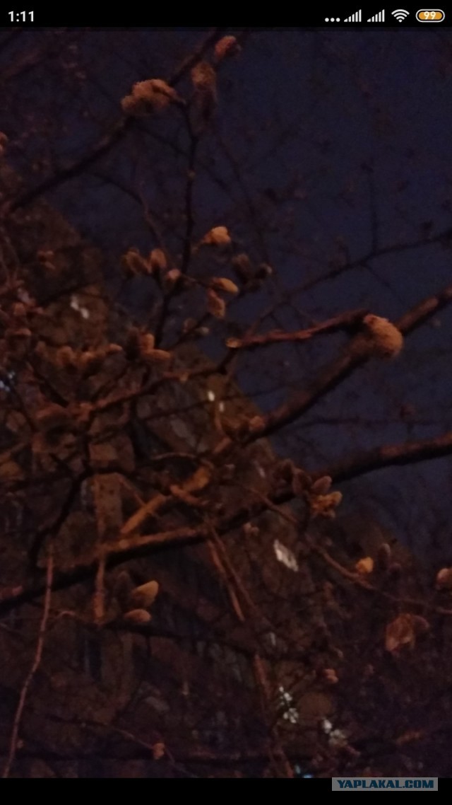 Как я знакомилась на сайте знакомств