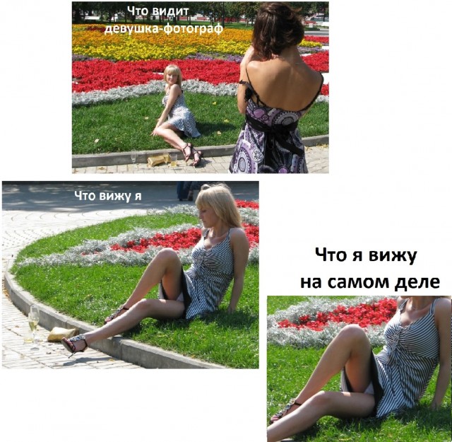 Юмор на любителя