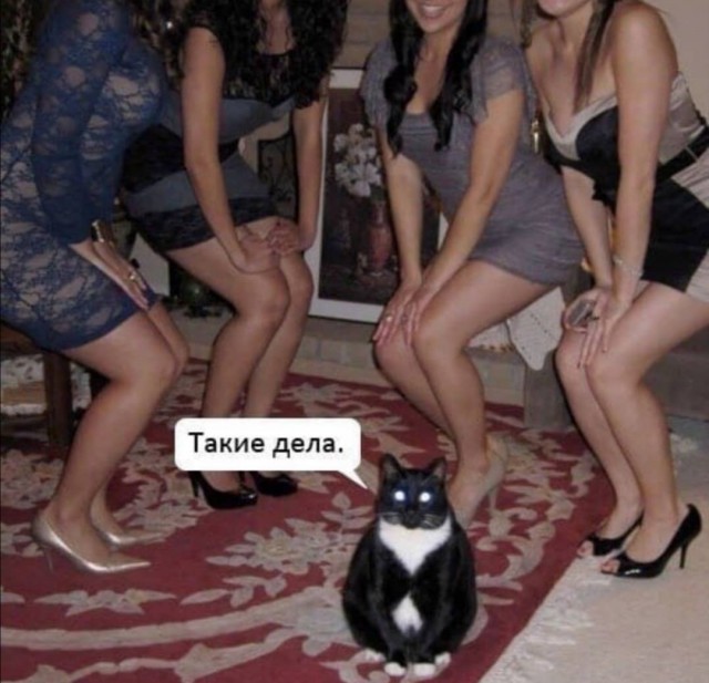Бредзона 05.02.2020