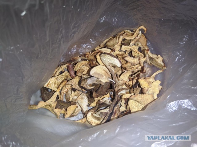 Лепешка, с грибами и сыром.