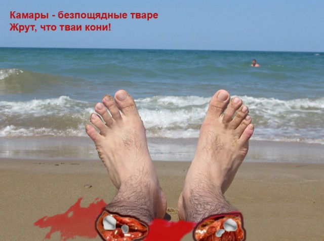 Фотожаба: Как я провел лето
