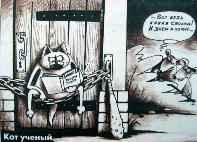 С котопятницей! Улыбнемся?