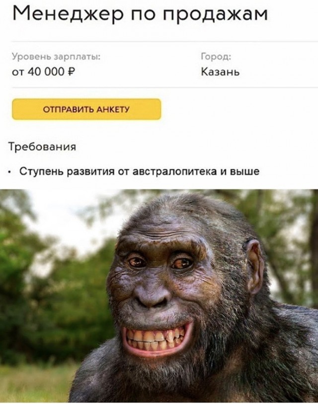 Картинки и мемы для настроения 025