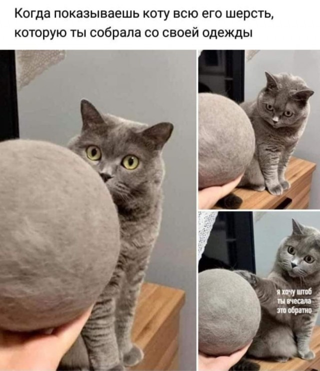 Бредзона 04.02.21