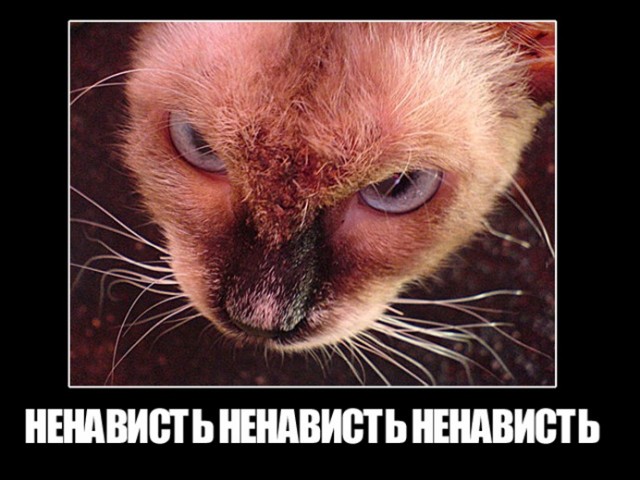 Тяжела работа диспетчера