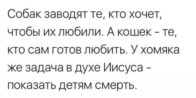 Операция "Деградация", часть вторая