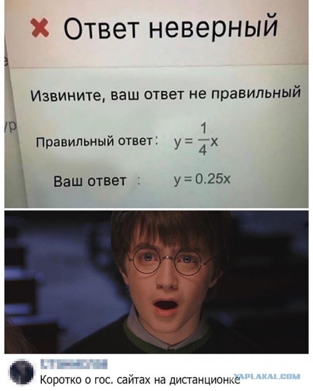 Свинегрет: картинки, надписи и прочее на 20.02.21 или №30