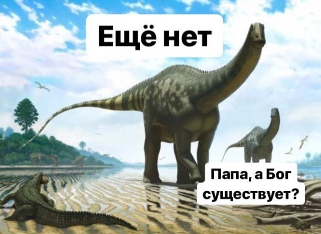Весёлый полтишок 25.04