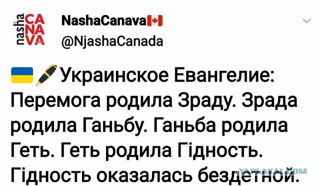 Волков объявил о роспуске сети штабов Навального