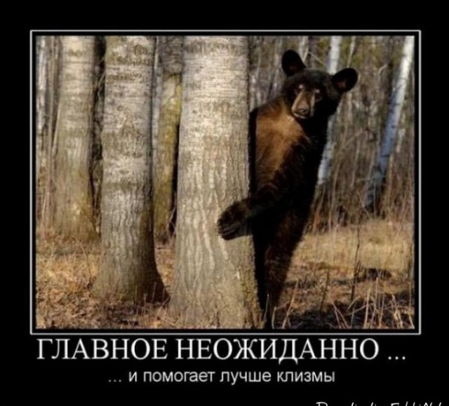 Часто слышу, что медведь не предупреждает перед нападением