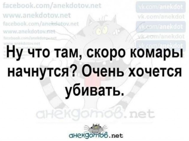 Так себе картинки 24.06.21