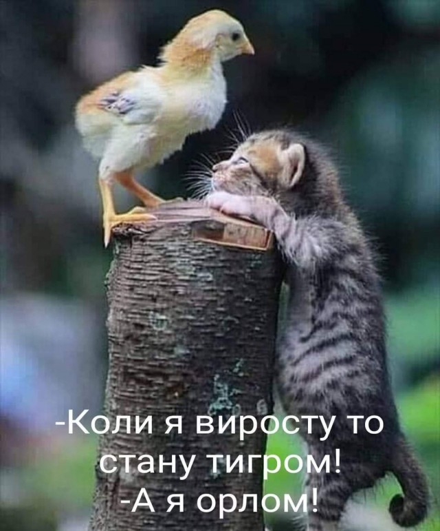 Картинки на понедельник