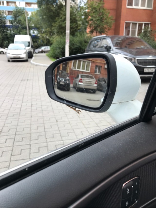 Нижегородский богомол