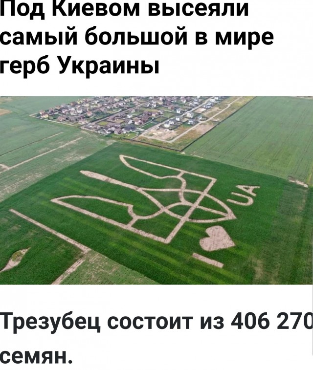 В Херсоне упавший флагшток раздавил Лексус