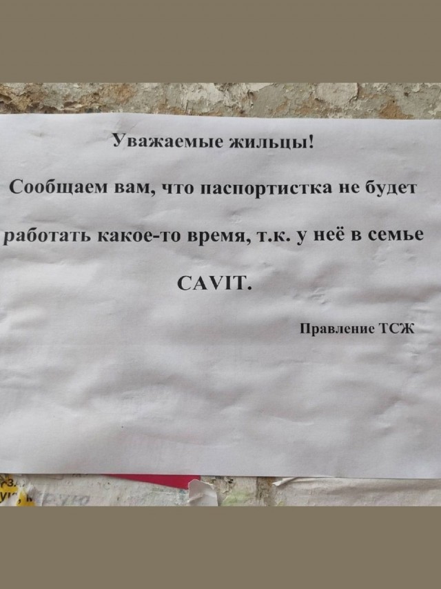 Так себе картинки 12.10.21