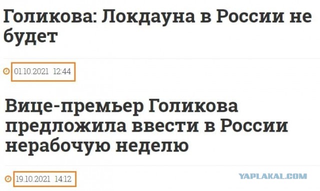 Голикова предложила объявить с 30 октября по 7 ноября нерабочие дни