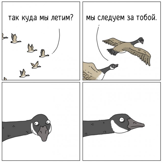Так себе картинки 15.11.21